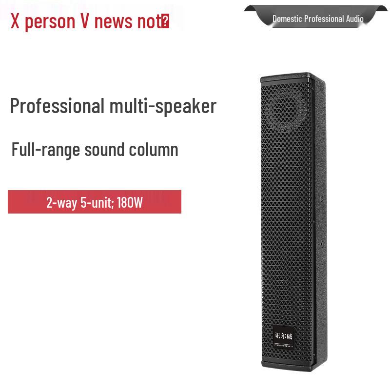Xun Er Wei Professional Audio-Video Systems (CN Version)
