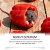 Pastiglie Repellenti per Roditori 10 Pezzi Profumo Naturale alla Menta Deterrente Non Tossico per Roditori per Uso Interno ed Esterno Sicuro per Animali Domestici e Ambiente