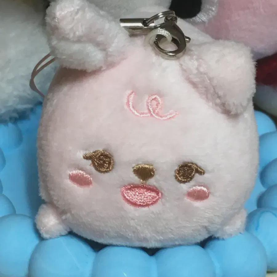 

Day6 Petit Mels Четырехногая ходячая таблетка