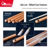 JEEANLEAN Pro Billiard Cue Stick