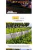 LED Wind-Powered Firefly Lights, 6 or 8 Heads, Outdoor Landscape Decoration for Parks and Streets