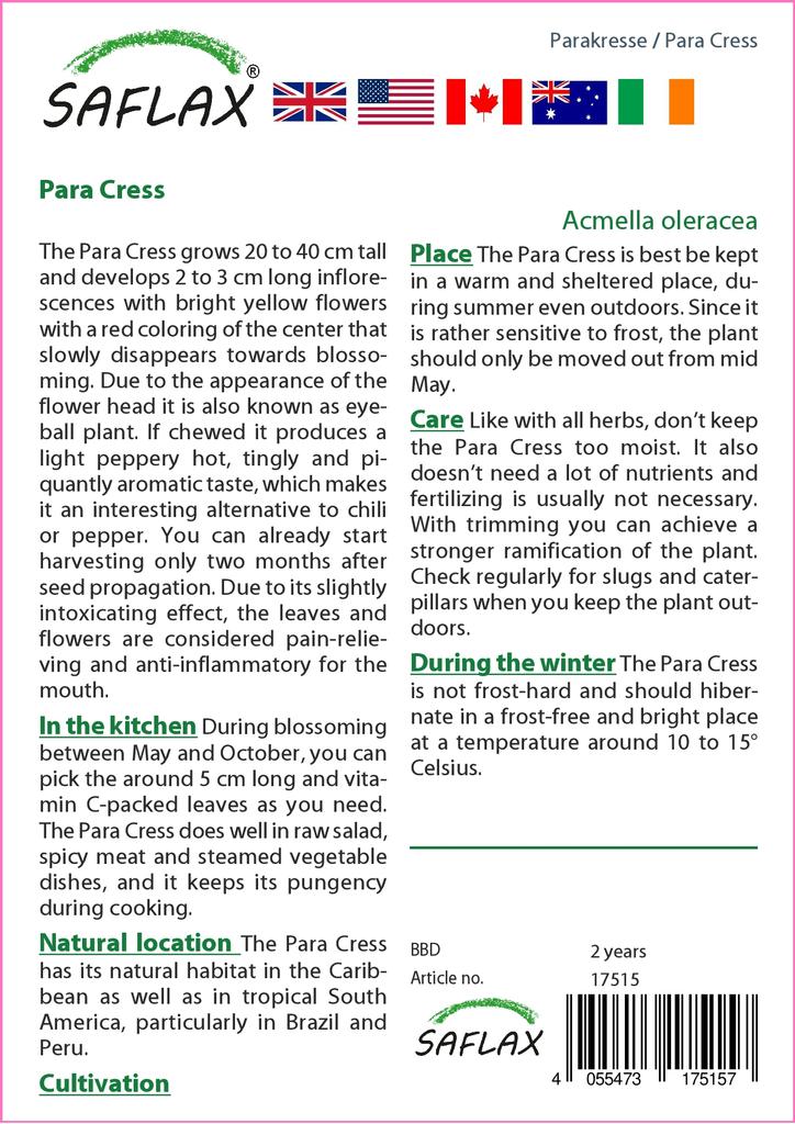 SAFLAX Dárková sada - Para Cress - 500 semen - S dárkovou krabičkou, kartou, štítkem a substrátem pro zalévání - Acmella oleracea
