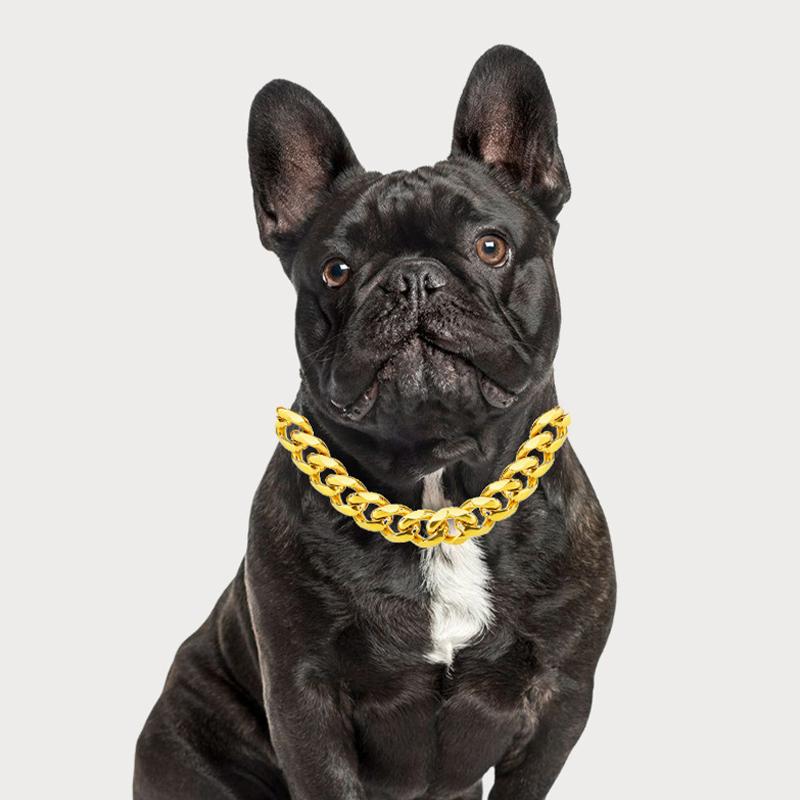 Pet Dog Bully Gold Chain Small And Medium-Sized Dog Collar Pet Necklace Jewelry Pet Supplies Dog Necklace