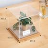 Gintopia Kit di Carta per Paesaggi Carta Artigianato per Piante in Carta Miniature Fatte a Mano con Custodia Acrilica per Adulti, (Monstera adansonii)