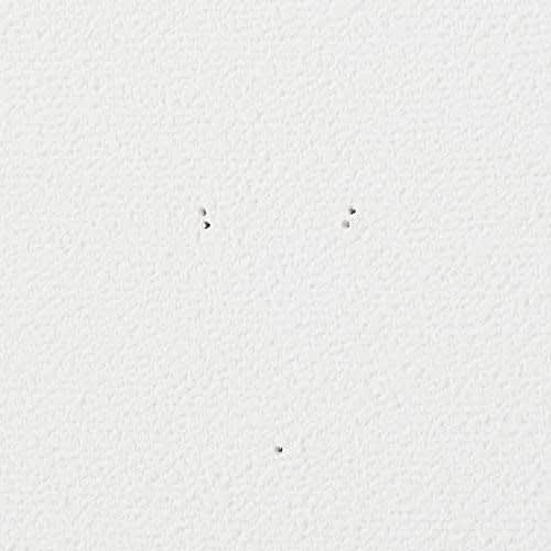 MUJI Wall Furniture Hook Oak Wood 82944853