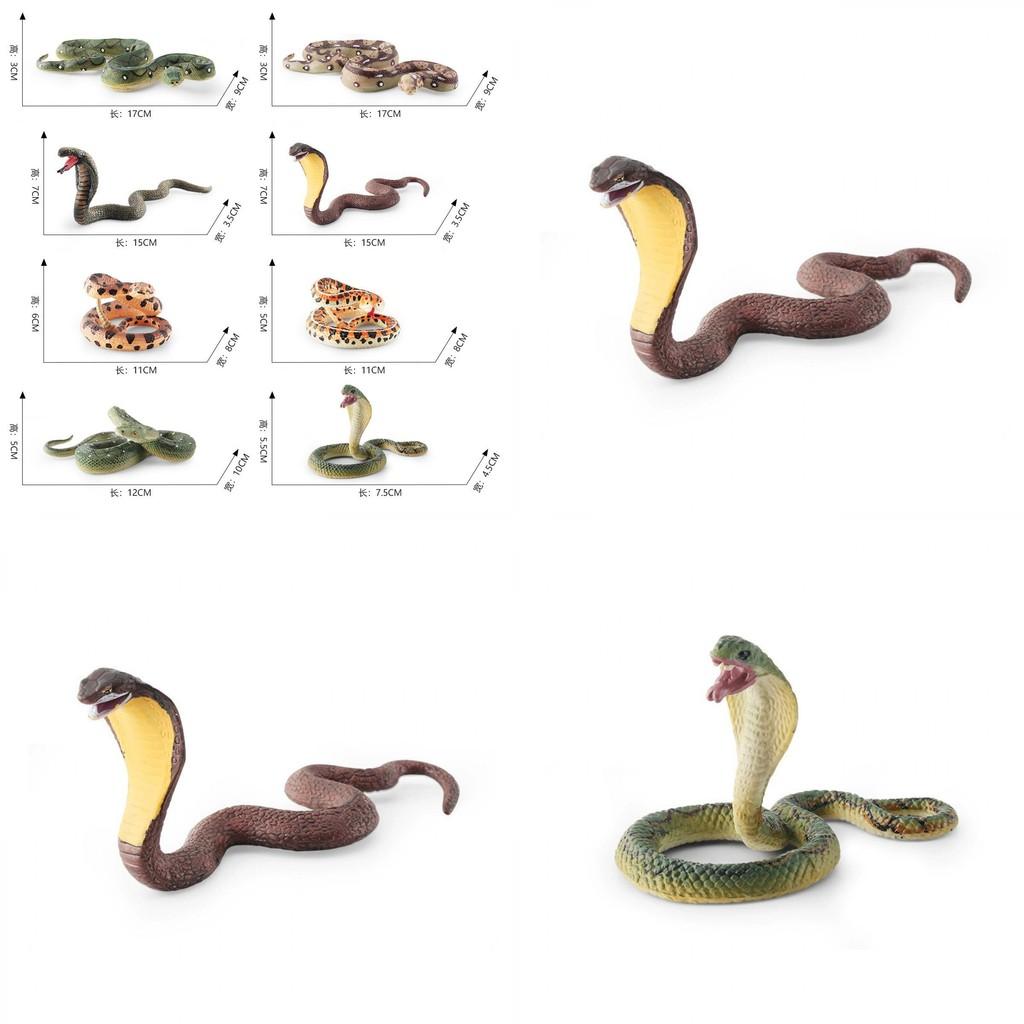 Serpent Static Model Collection Decorative Toy For Home Decor Gift