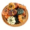 Artificial Pumpkins, Plastic Faux Vegetable Decorations, for Thanksgiving, Harvest, Home, Farmhouse, DIY Crafts, Party Ornament