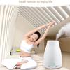 Colorful Chic Aroma Humidifier Sake Bottle Mini Air Environmental Ultrasonic Aromatherapy Machine Night Light