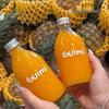 Transparent Round Glass Bottles with Lids for Juice, Milk, Tea, Cold Brew, and Coffee.