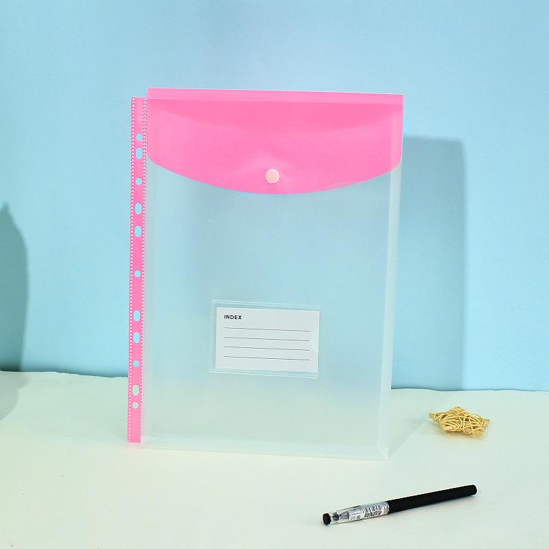 11-Hole 3D A4 Transparent Snap-Button File Bag with Card Holder - Colorful Student Document Organizer