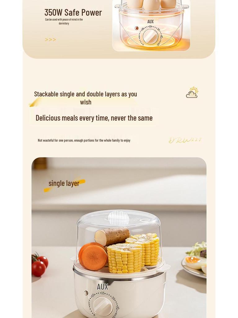 Compact Stainless Steel Automatic Egg Boiler with Auto-Off