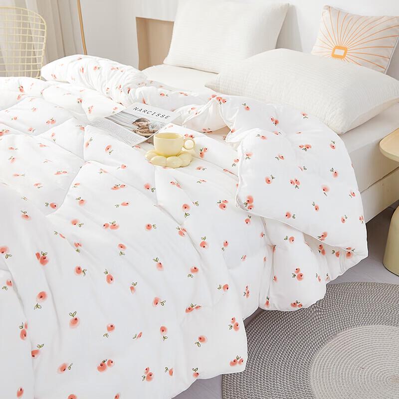 Donna Home Textiles Antibacterial Baby Velvet Ginger Quilt