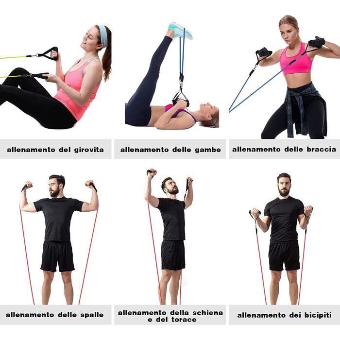 Resistance Bands - ELASTIBAND - Fitness Set - Accessories Included - Unisex - Beginner