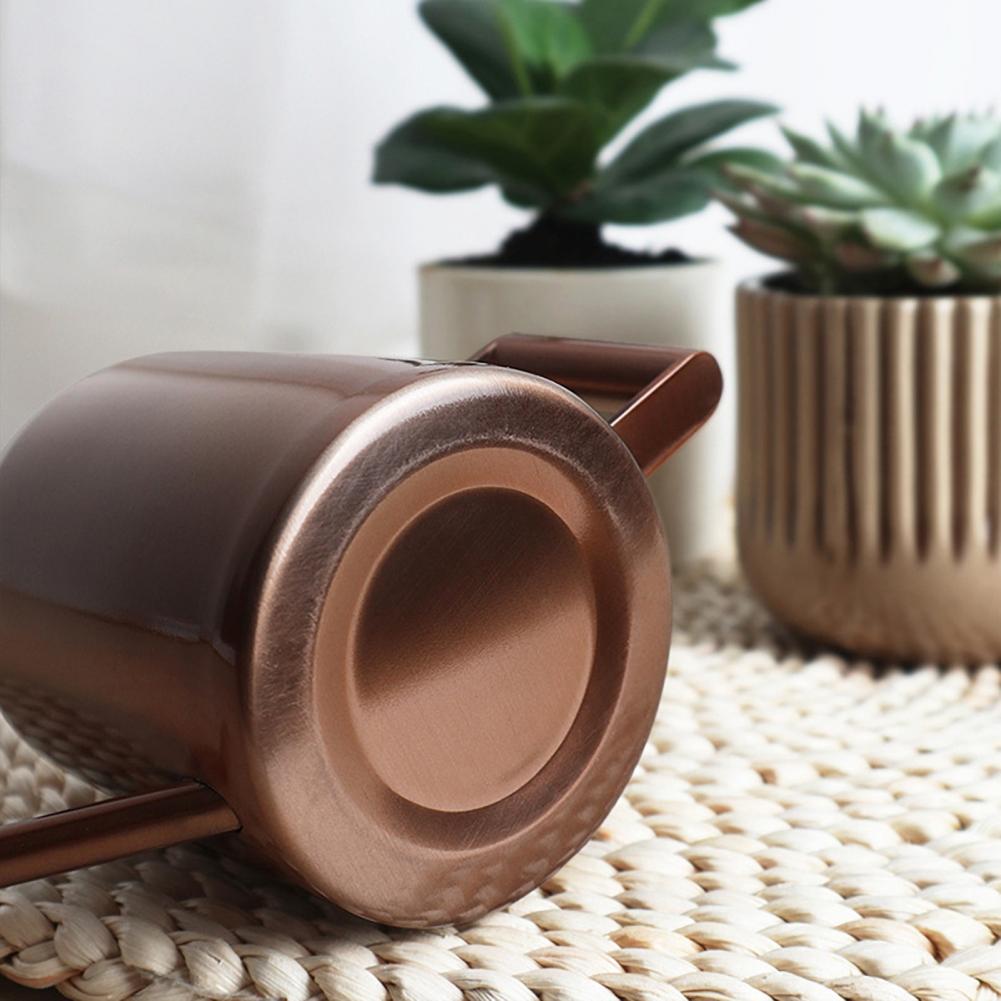 10OZ/300ML Mini Watering Can Stainless Steel Long Spout Sprinkling Pot Plants Small Home Flowers Succulents Garden Watering Pot