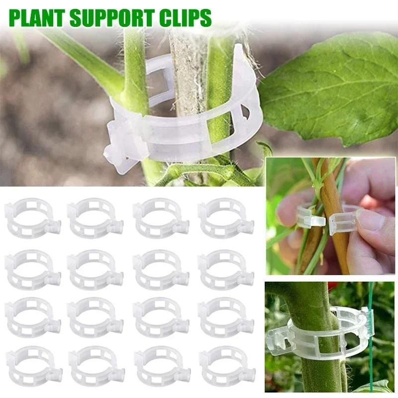 50/100/200pc Plant Clips Supports Reusable Plastic Connects Fixing Vine Tomato Stem Grafting Vegetable Plants Orchard and Garden