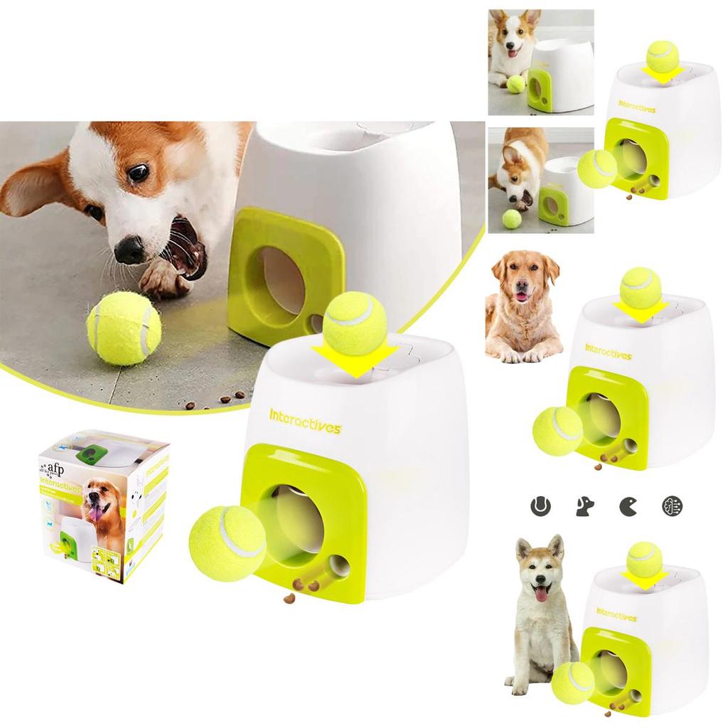 Educational Tennis Ball Hyper Game Training Machine For Active Dogs