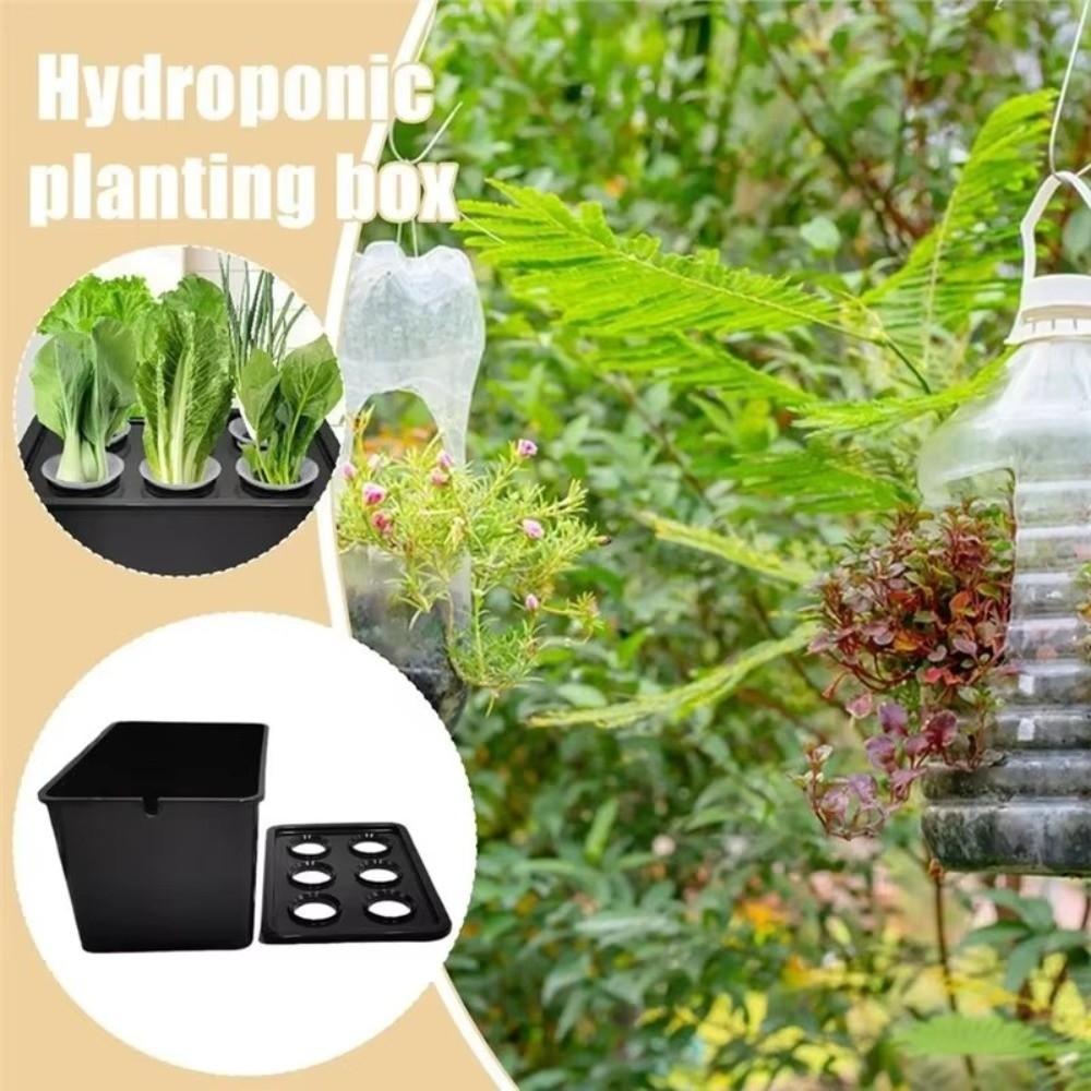 Plastic Hydroponic Grower Kit Self Watering Versatile Cultivation Box Vegetable Growing