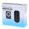 Female 20 Frequency Wireless Remote Control Mp3 Style Vibrating Egg Women For