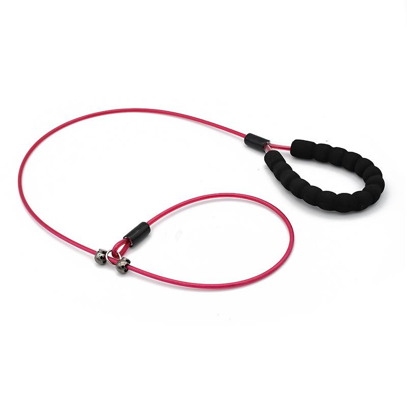 Stainless Steel Shock-Absorbing Dog Leash for Medium & Large Dogs 70cm