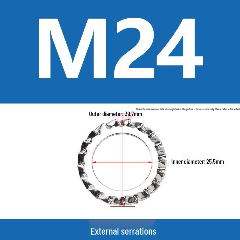 304 Stainless Steel Serrated Lock Washer with Anti-slip Teeth.