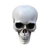 Game Night Supplies Durable Suitable For Halloween Halloween Decorations Skull Decoration Eye-catching Props Home Decoration