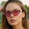 European And American New Triangle Fashion Trend Internet Celebrity Sunglasses Casual Outdoor High Sense Women'S Sunglasses Versatile Glasses