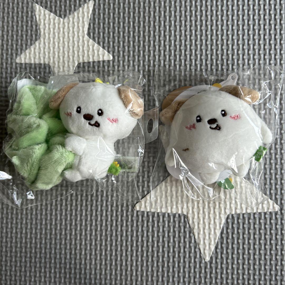 

[USED] Rare RIIZE Anton Mengryongyi Scrunchie Keyring Set of 2