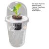 Pflanzenvermehrungsstation Samen Pflanzgefäß Transparenter Becher mit Sämlingen Pflanzenkeimung Starter Hydroponischer Korb Kuppelförmiger Deckel