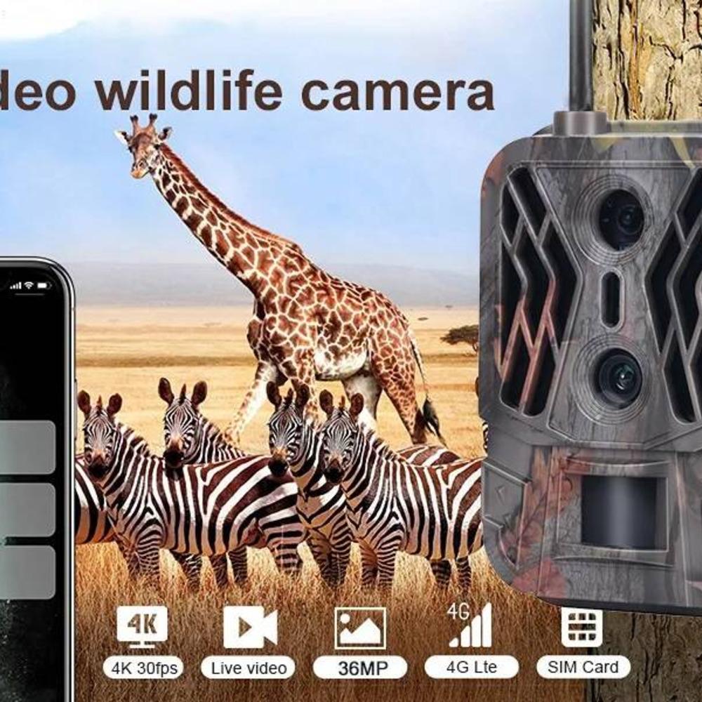 4G Tracking Camera 4K APP Control Cloud Service no Lithium-Battery Hunting Camera Cam Dual Lens Detection Wildlife came