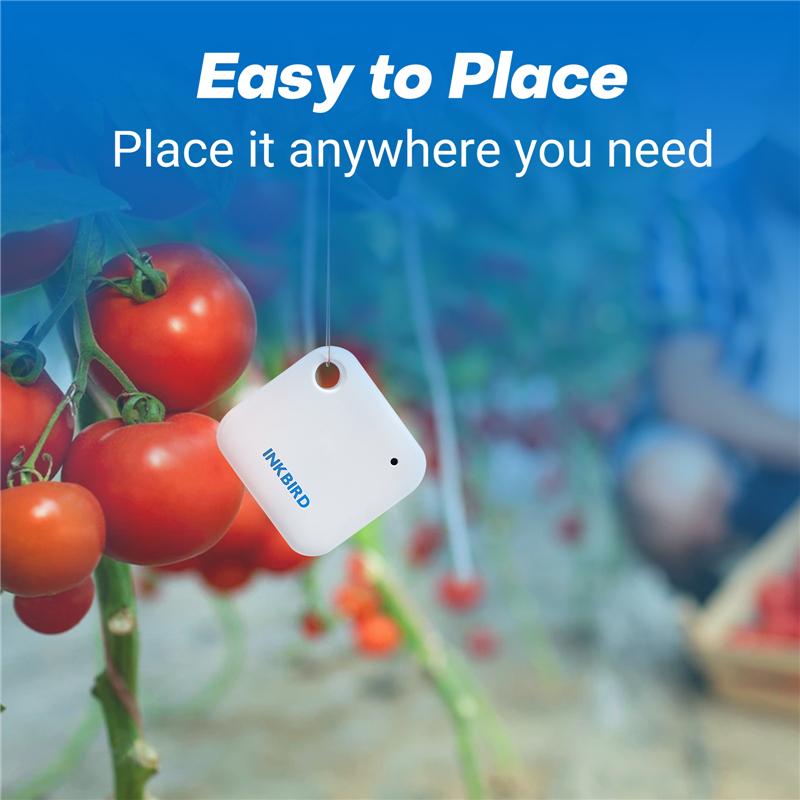 INKBIRD Wi-Fi Smart Sensor for Real-Time Temperature Humidity Monitor Data Logger for Refrigerators Reptile Terrariums,Cellars2