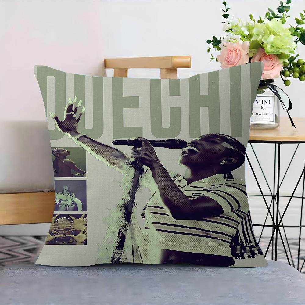 D-Doechii Cushion Cover Polyester Sofa Cushions Decorative Throw Pillows Home Decoration Pillowcover