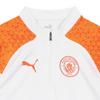 Puma Manchester City Training 1 4 Zip Top Man City
