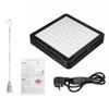 2000W Growing Lamps LED Grow Light Full Spectrum for Greenhouse Indoor Hydroponic Plant Seedling Flower High Yield