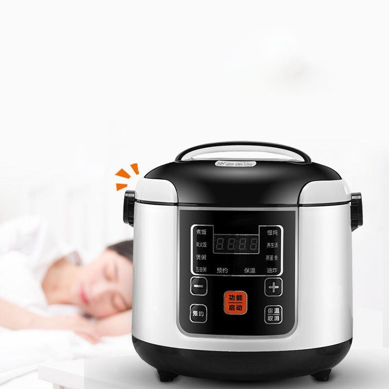 Tragbarer Reiskocher fürs Auto, 2 l, elektrischer LKW-Multikocher, Suppenbrei, Dampfgarer, elektrische Lunchbox, 12 V oder 24 V