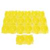 Reusable Plant Rooting Device High Pressure Propagation Ball Box Plant Grafting BallYellow S 10PCS