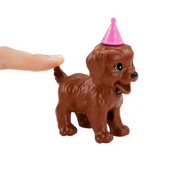 BARBIE Coffret Anniversaire Des Chiens