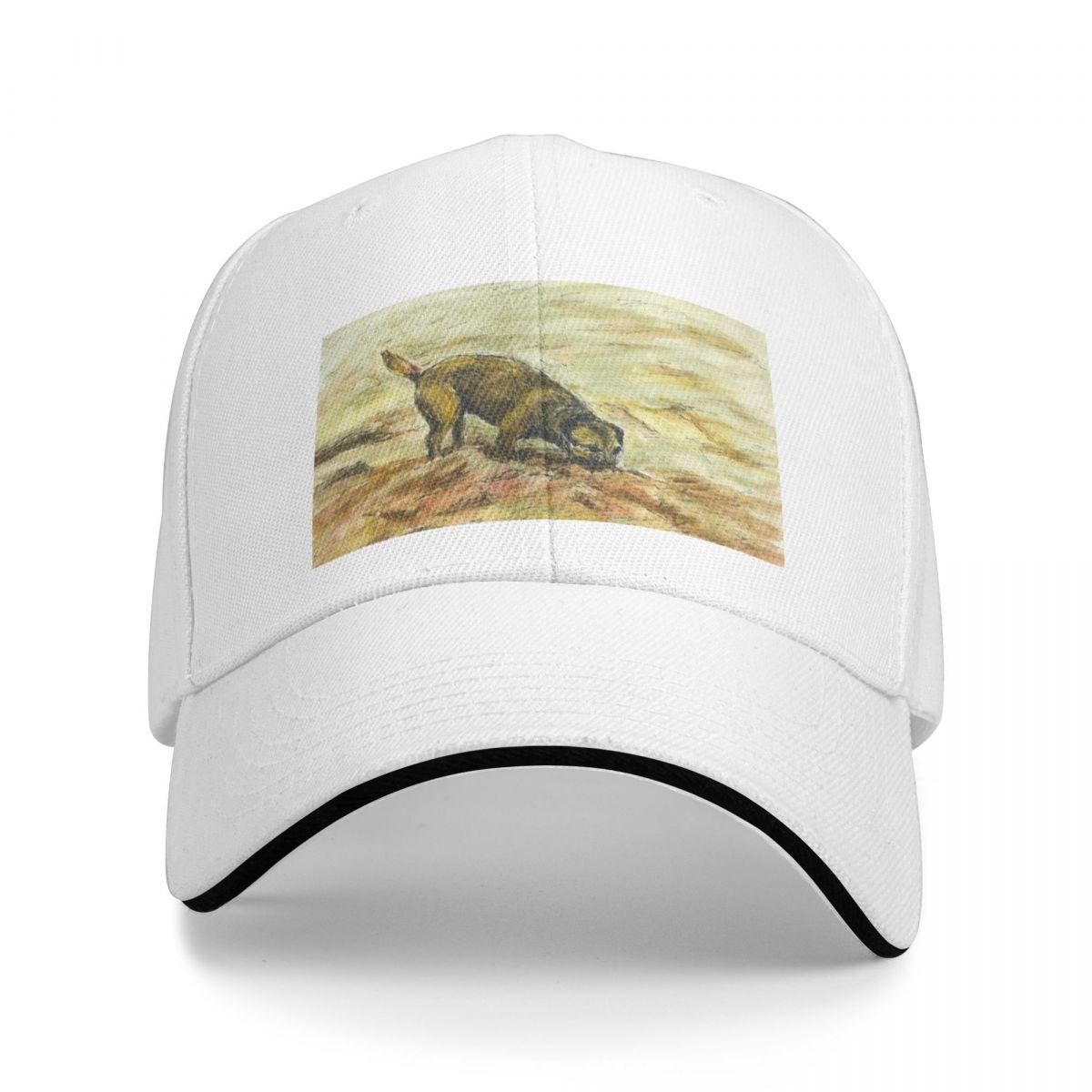 

Бордер-терьер играет в песке у Т Coch Inn, Портдинллан, Морфа Нефин на улице Lln Бейсбольная кепка Peninsula