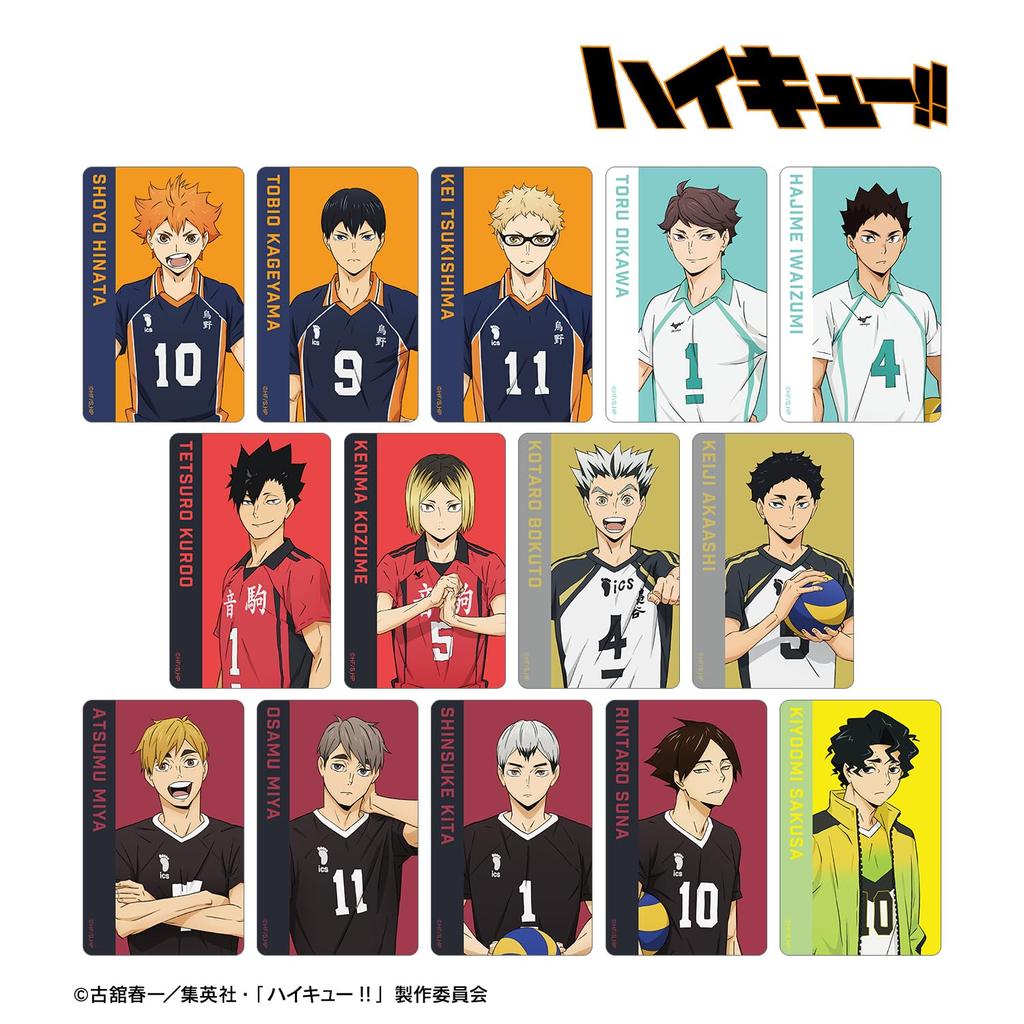 Haikyu!! Trading Plastic Visual Cards Box of 14