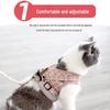 Katzen Geschirr mit Leine Set