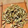 Specials Organic 100g Chinese Loose White Tea Pu Er Buds Wild Raw Puerh Silver Needle