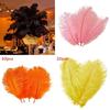 Luxurious Natural Ostrich Feathers 12-14 Inches For Elegant Party Table Decor