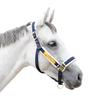 Halfterbezug für Pferde - Abriebfestes Reitsport-Trainingszubehör