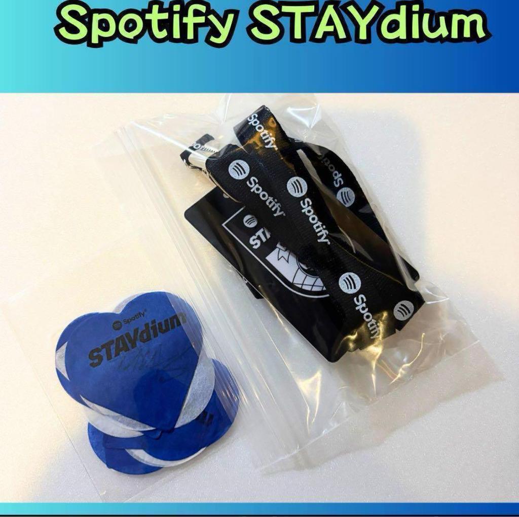 [GEBRAUCHT] Stray Kids (SKZ) Spotify Rucksack, Korea, VIP-Karte, A207