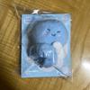 Shu First Junior Yesung Light Stick Deco Doll FANLIGHT DECO DOLL