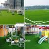 Linzhilu Artificial Turf with Adhesive Mesh Back