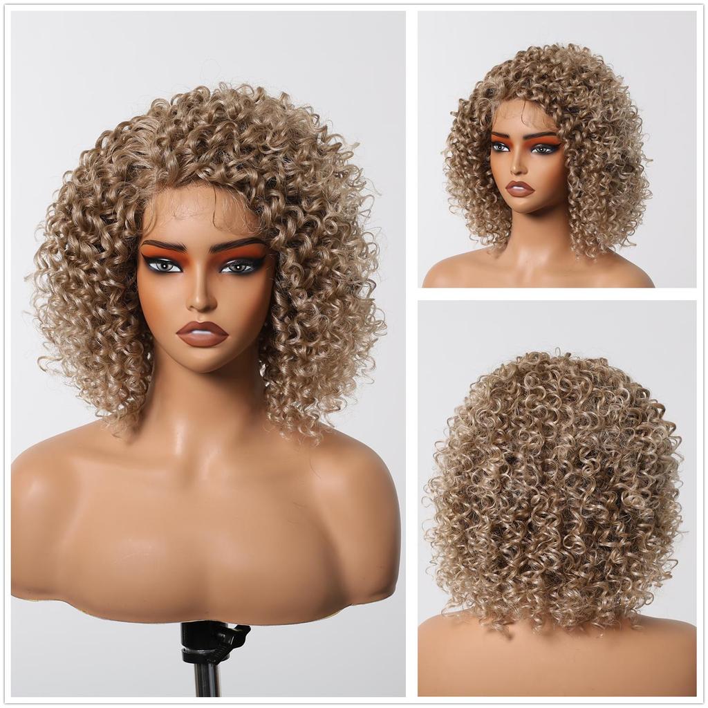 ALAN EATON  13x1  Lace Front Wig Black Short Deep Curly Wigs for Black Women Hair Daily Party High Density Heat Resistant