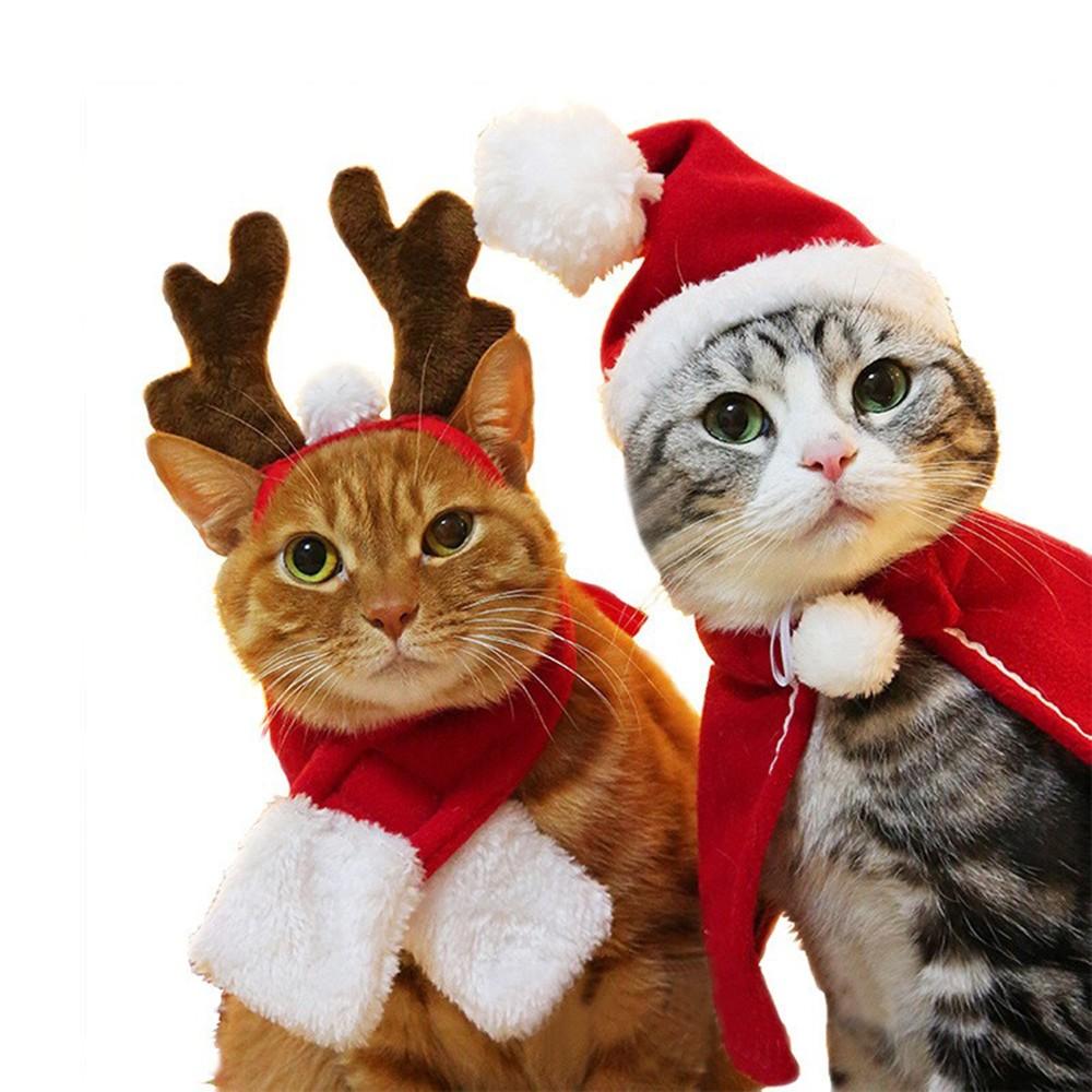 Cute Pet Christmas Outfits for Cats and Dogs Great for Holiday Decoration