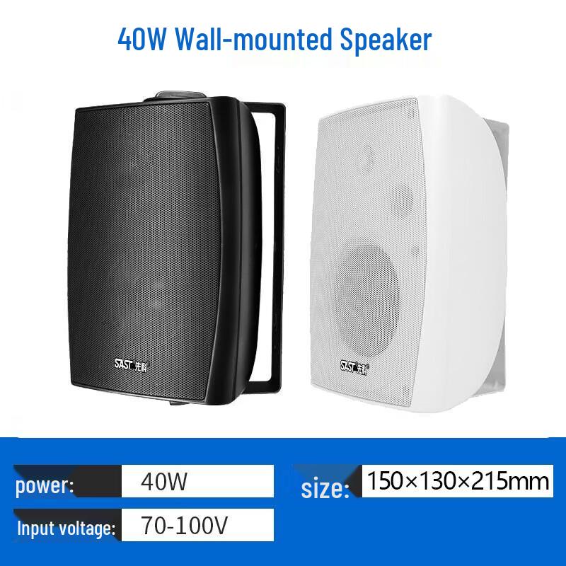 SAST Commercial Public Address System Speakers CN plug (adapter included)