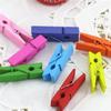 Mini Cartoon Wooden Clips with Hemp Rope, Natural and Colorful Spray-Painted, 3.5*0.7