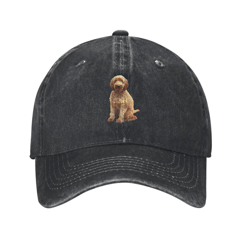 Goldendoodle Golden Doodle Dog Hiking Baseball Cap Sunshade Travel Denim Sun Hat